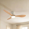 Ventilateurs de Plafond