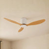 Ventilateur de plafond silencieux