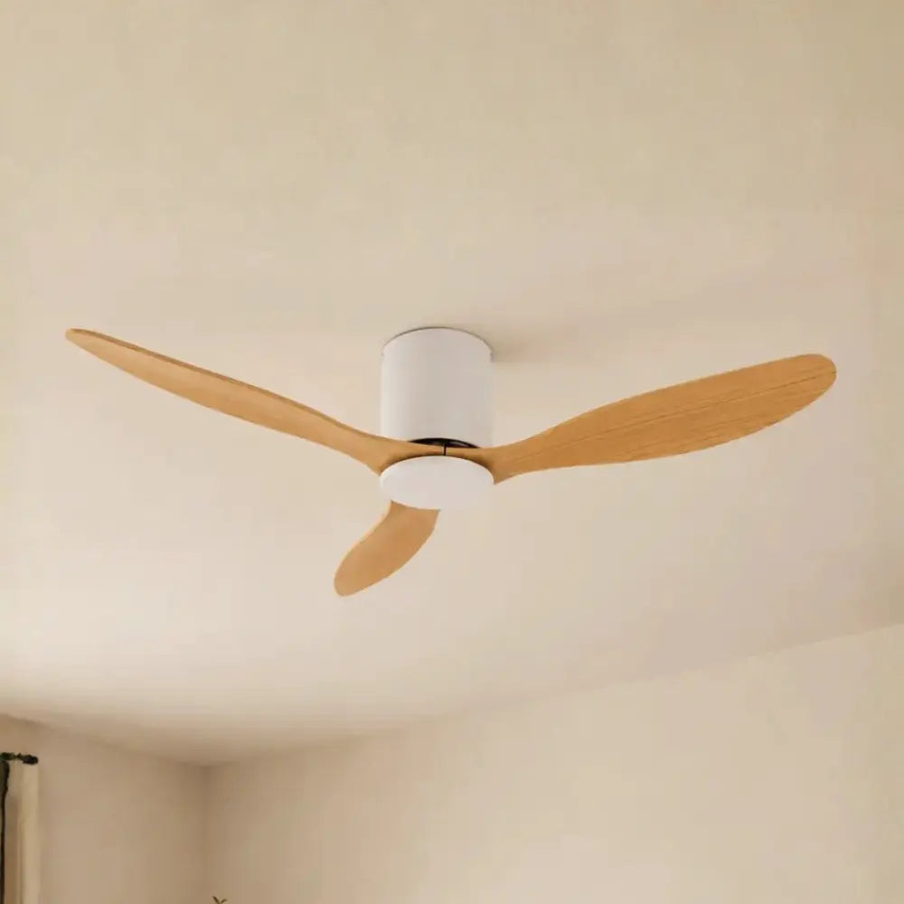 Ventilateur de plafond silencieux Image