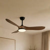 Ventilateur de plafond luminaire