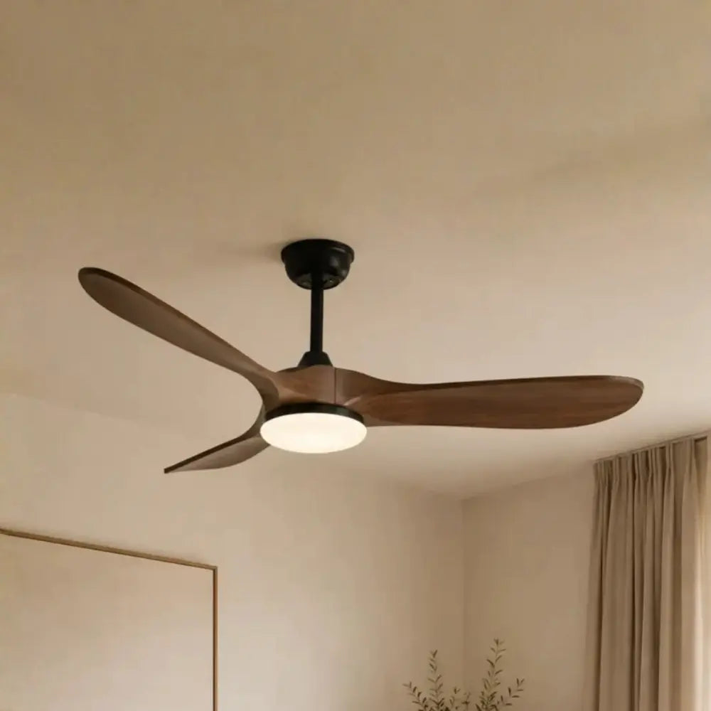 Ventilateur de plafond luminaire Image