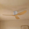 Ventilateur de plafond moderne