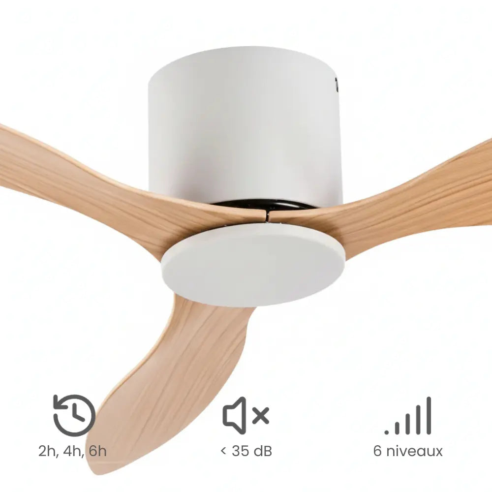 Ventilateur de plafond silencieux VENO - Couleur bois clair, sans lumière