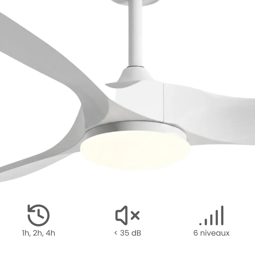 Ventilateur de plafond silencieux ORIA - Couleur bois blanc, LED intégrée