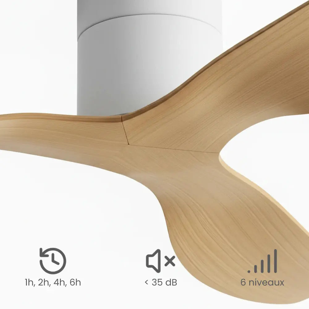 Ventilateur de plafond silencieux LENO - Design plat, sans lumière