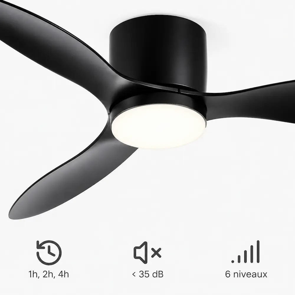 Ventilateur de plafond silencieux couleur noir avec minuterie et vitesses