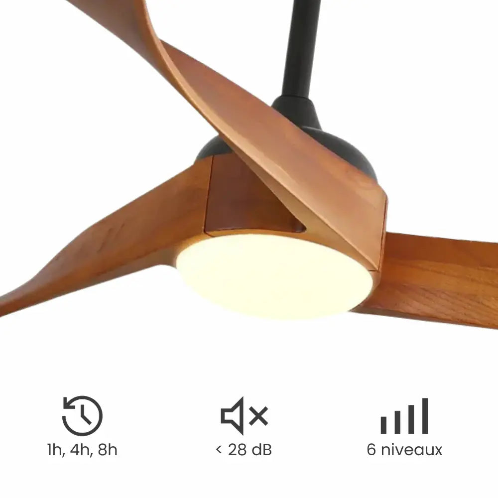 Ventilateur de plafond silencieux CEYLIO - Style nordique, LED intégrée