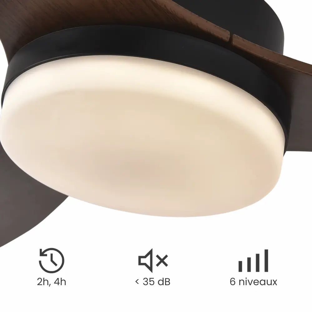 Ventilateur de plafond silencieux ELOI - Style design, LED intégrée