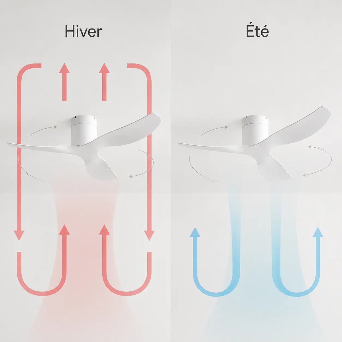 Ventilateur de plafond silencieux ELIO - Blanc moderne, sans lumière
