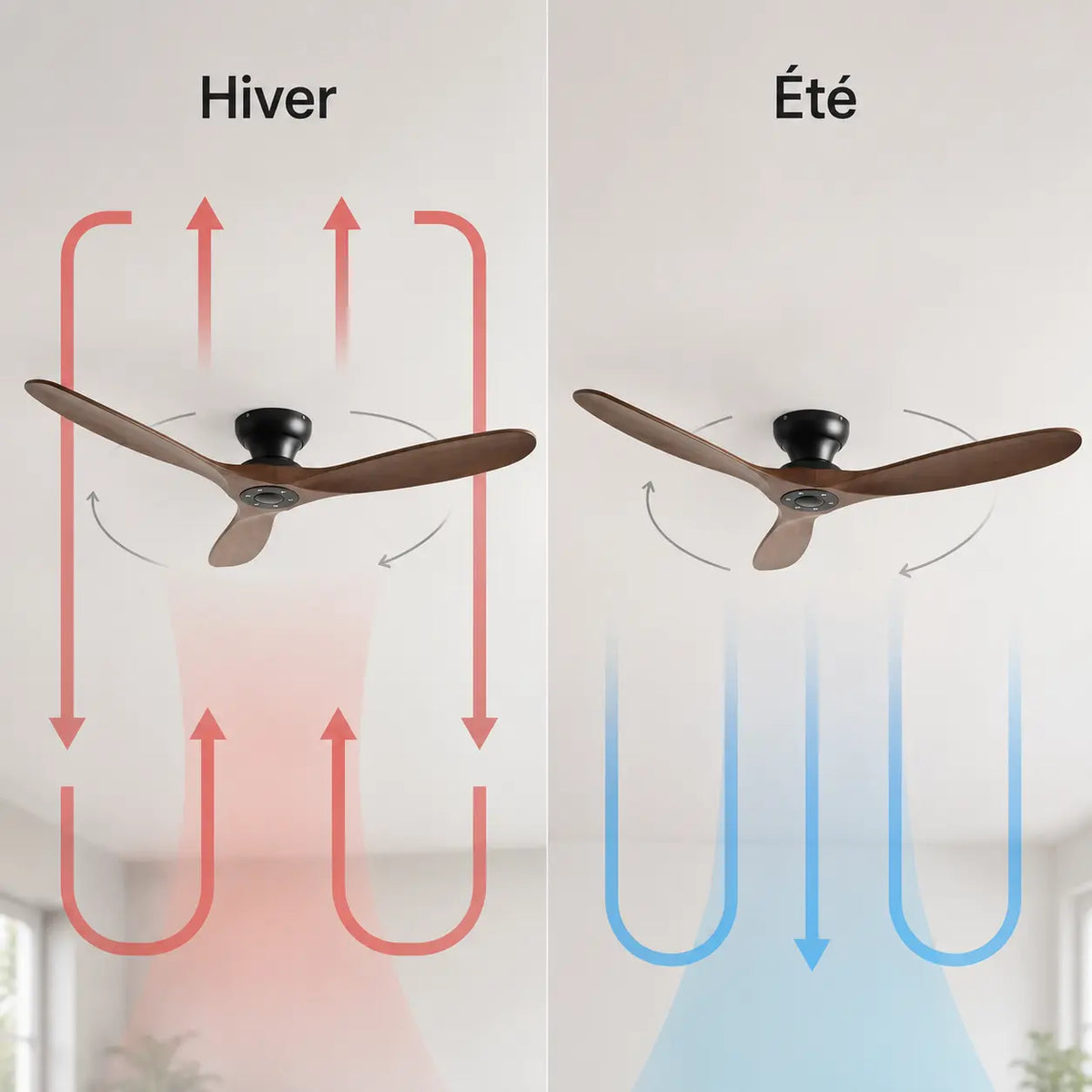 Ventilateur de plafond silencieux EMMO - Bois massif, sans lumière