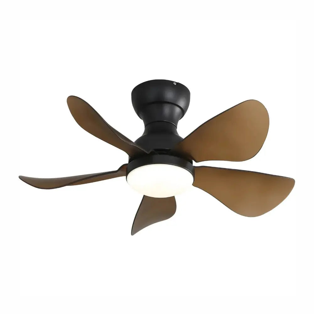 Ventilateur plafond couleur noir pales transparentes marron design compact et style moderne