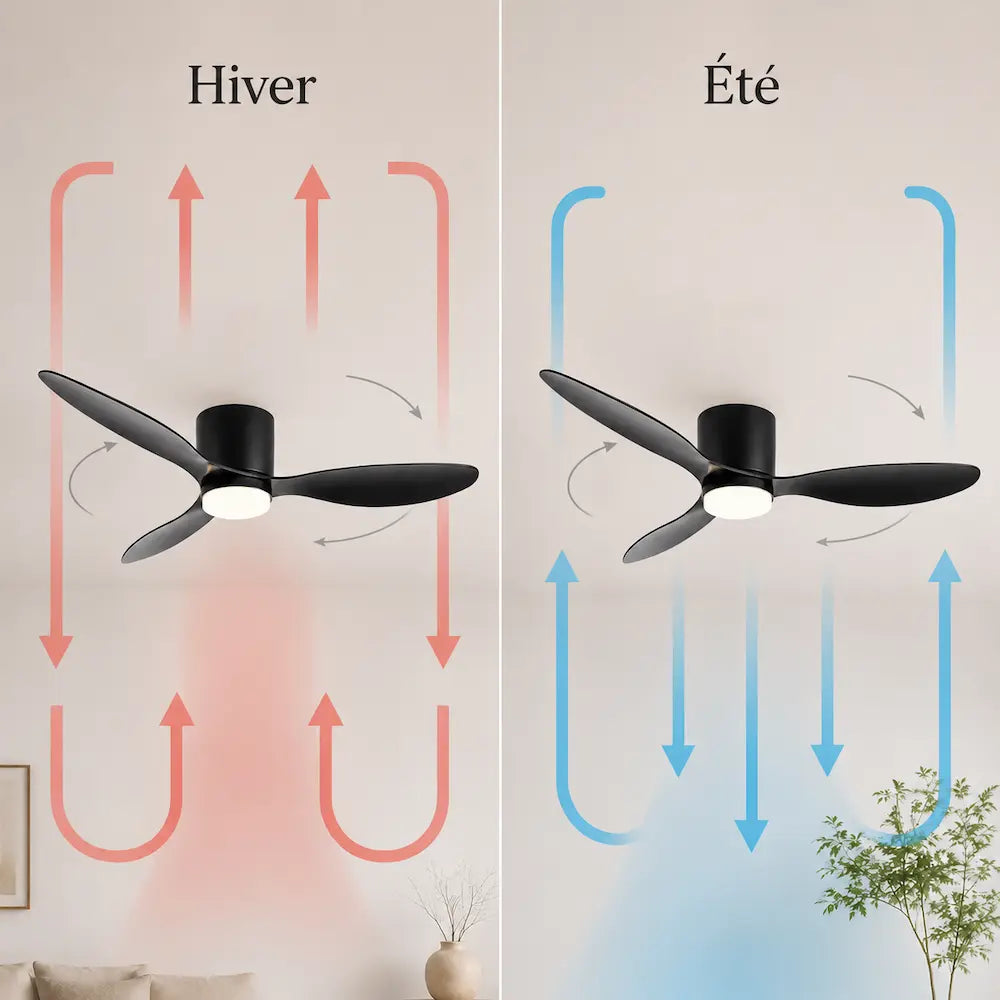 Mode été hiver pour ventilateur de plafond moderne couleur noir silencieux