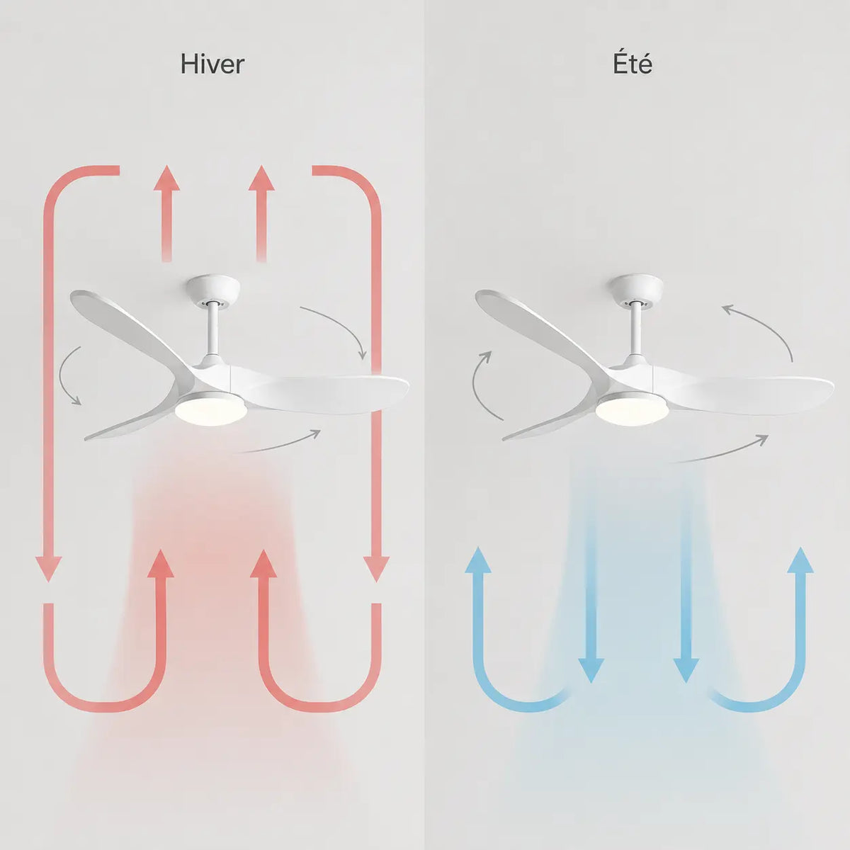 Ventilateur de plafond silencieux ORIA - Couleur bois blanc, LED intégrée